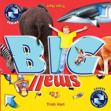 portada BIG and SMALL: A concept picture book for children (en Inglés)