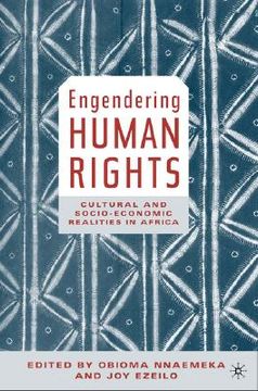 portada engendering human rights: cultural and socio-economic realities in africa (en Inglés)