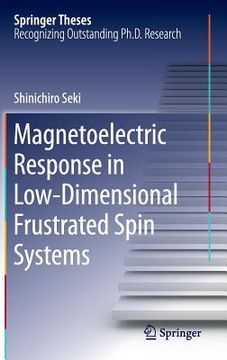 portada magnetoelectric response in low-dimensional frustrated spin systems