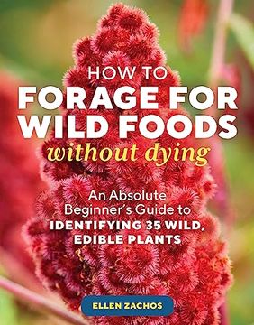 portada How to Forage for Wild Foods Without Dying: An Absolute Beginner's Guide to Identifying 40 Edible Wild Plants (in English)