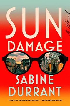 portada Sun Damage: A Novel (in English)