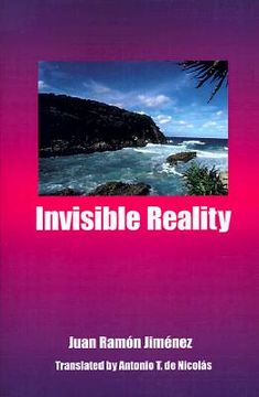 portada invisible reality