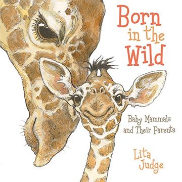 portada Born in the Wild: Baby Animals and Their Parents (en Inglés)