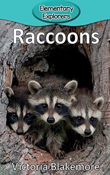 portada Raccoons (Elementary Explorers)