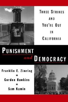 portada punishment and democracy: three strikes and you're out in california (en Inglés)