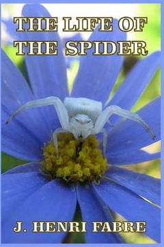 portada The Life of the Spider (in English)