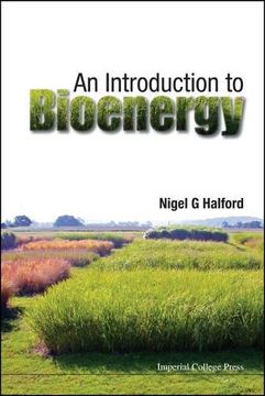 portada Introduction To Bioenergy, An