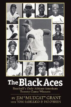 portada the black aces: baseball's only african-american twenty-game winners