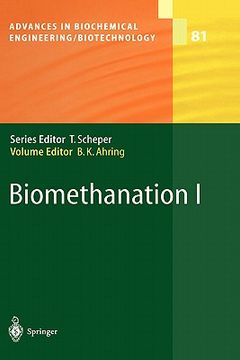 portada biomethanation i (en Inglés)