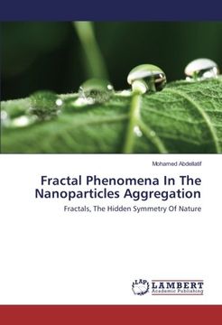 portada Fractal Phenomena In The Nanoparticles Aggregation: Fractals, The Hidden Symmetry Of Nature