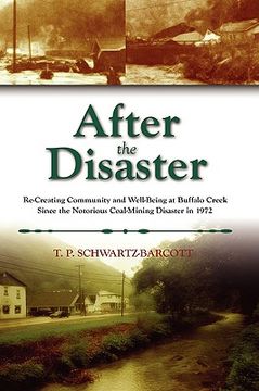 portada after the disaster: re-creating community and well-being at buffalo creek since the notorious coal mining disaster in 1972 (en Inglés)