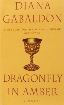 portada Dragonfly in Amber (in English)