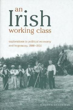 portada an irish working class: explorations in political economy and hegemony, 1800-1950 (en Inglés)