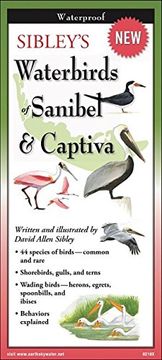 portada Sibley'S Waterbirds of Sanibel & Captiva: Scb-100 (Foldingguides) (en Inglés)