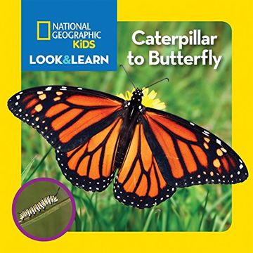portada National Geographic Kids Look and Learn: Caterpillar to Butterfly (Look & Learn) (en Inglés)