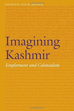 portada Imagining Kashmir: Emplotment and Colonialism (Frontiers of Narrative)