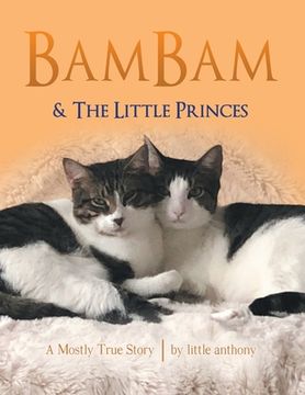 portada Bambam & the Little Princes: A Mostly True Story (in English)