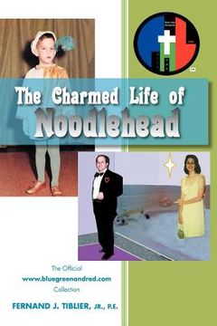 portada the charmed life of noodlehead