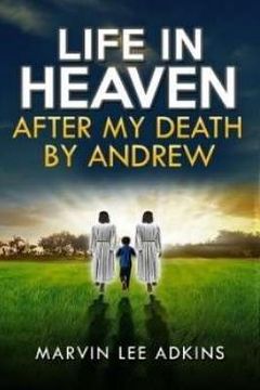 portada Life in Heaven after My Death by Andrew: Help Dealing with Grief, Loss, and Death of a Love One (in English)