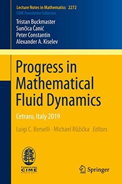 portada Progress in Mathematical Fluid Dynamics: Cetraro, Italy 2019 (in English)