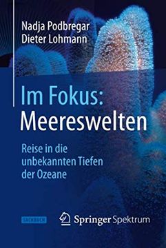 portada Im Fokus: Meereswelten: Reise in die Unbekannten Tiefen der Ozeane (Naturwissenschaften im Fokus) (in German)