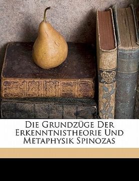 portada Die Grundzuge Der Erkenntnistheorie Und Metaphysik Spinozas (en Alemán)