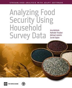 portada Analyzing Food Security Using Household Survey Data: Streamlined Analysis with Adept Software (en Inglés)