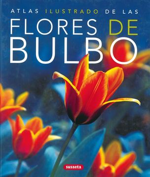 portada Atlas Ilustrado de las Flores de Bulbo (in Spanish)
