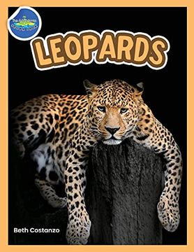 portada The Amazing World of Leopards Booklet With Activities Ages 4-8 (en Inglés)