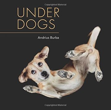 portada Under Dogs