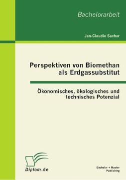 portada Perspektiven von Biomethan als Erdgassubstitut: Ökonomisches, ökologisches und technisches Potenzial (German Edition)