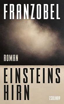 portada Einsteins Hirn: Roman (in German)