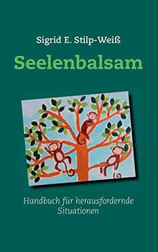 portada Seelenbalsam: Handbuch für Herausfordernde Situationen (in German)