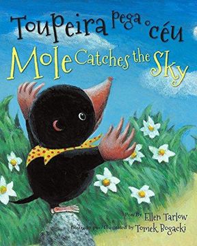 portada Mole Catches the Sky (Portuguese/English) (in English)