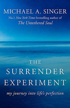 portada The Surrender Experiment: My Journey into Life's Perfection
