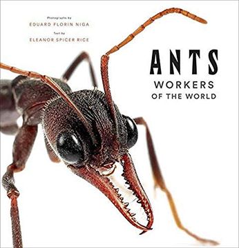 portada Ants: Workers of the World (en Inglés)