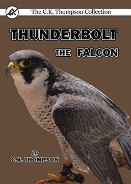 portada Thunderbolt the Falcon (en Inglés)
