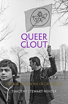 portada Queer Clout: Chicago and the Rise of gay Politics (Politics and Culture in Modern America) 