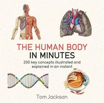 portada The Human Body in Minutes: 200 Key Concepts Illustrated and Explained in an Instant (en Inglés)