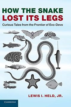 portada Evo-Devo Bundle 3 Paperback Book Set: How the Snake Lost its Legs: Curious Tales From the Frontier of Evo-Devo (en Inglés)
