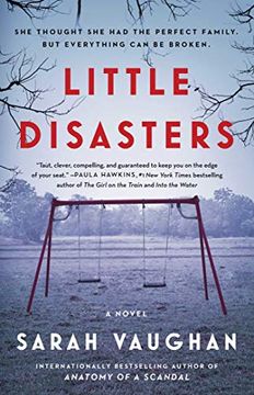 portada Little Disasters (en Inglés)