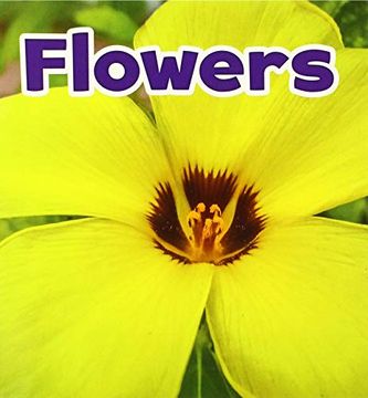 portada Flowers (Plant Parts) 