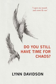 portada Do You Still Have Time for Chaos? (in English)