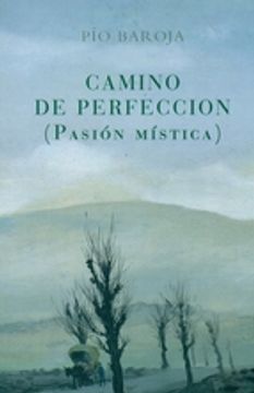 portada Camino De Perfeccion (pasion Mistica)