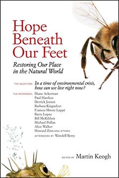 portada Hope Beneath our Feet (io Poetry) (in English)