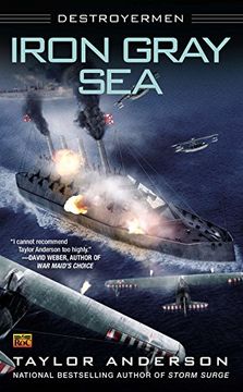 portada Iron Gray Sea: Destroyermen (en Inglés)
