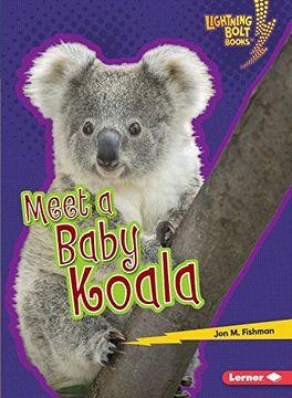 portada Meet a Baby Koala (Lightning Bolt Books Baby Australian Animals)