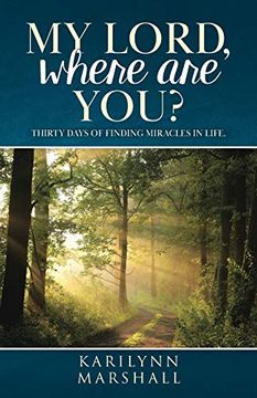 portada My Lord, Where are You? Thirty Days of Finding Miracles in Life (en Inglés)