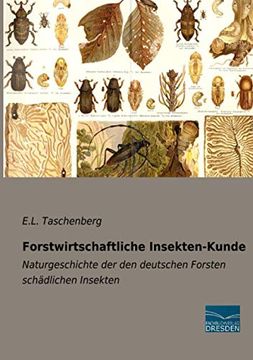 portada Forstwirtschaftliche Insektenkunde Naturgeschichte der den Deutschen Forsten Schdlichen Insekten (en Alemán)