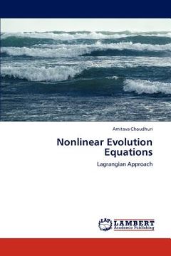 portada nonlinear evolution equations (en Inglés)